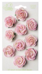 chelsea roses baby pink and ivory (10pc)