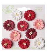 cosmos red and white (10pc)