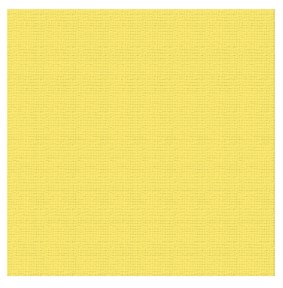 textured cardstock 12x12 lemon/raincoat (216gsm, 10 sheets)