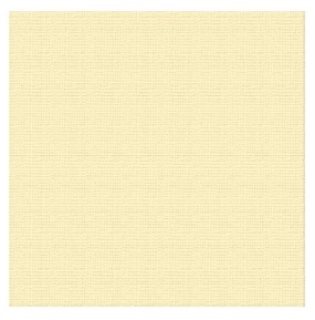 textured cardstock 12x12 vanilla/french vanilla (216gsm, 10 sheets)