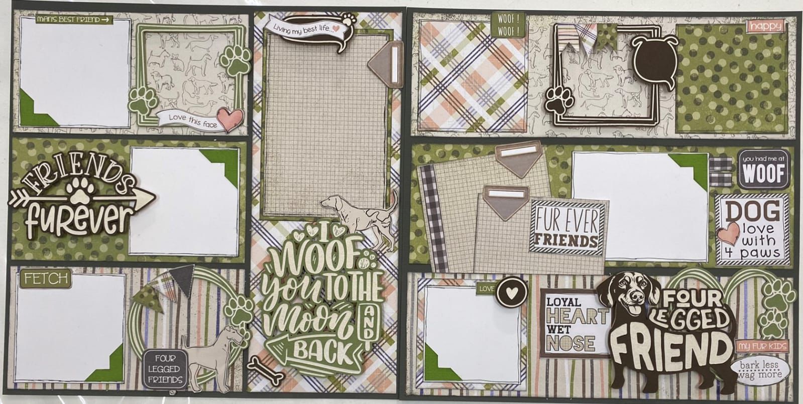 Four legged friend dog