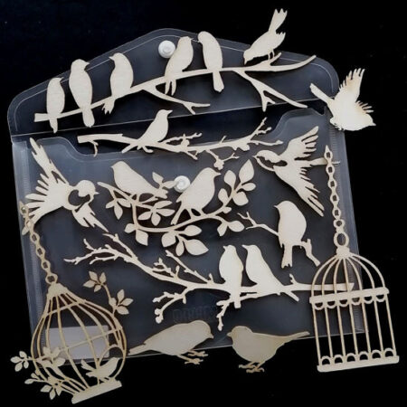 Birds Chippy Bag