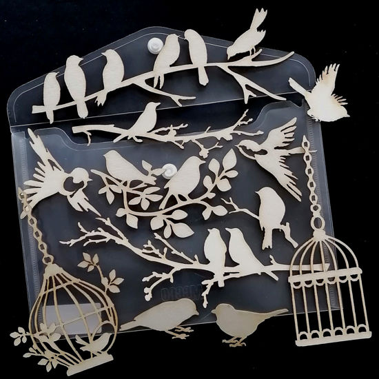 Birds Chippy Bag
