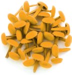 Chunky Yellow brads (18 pc)
