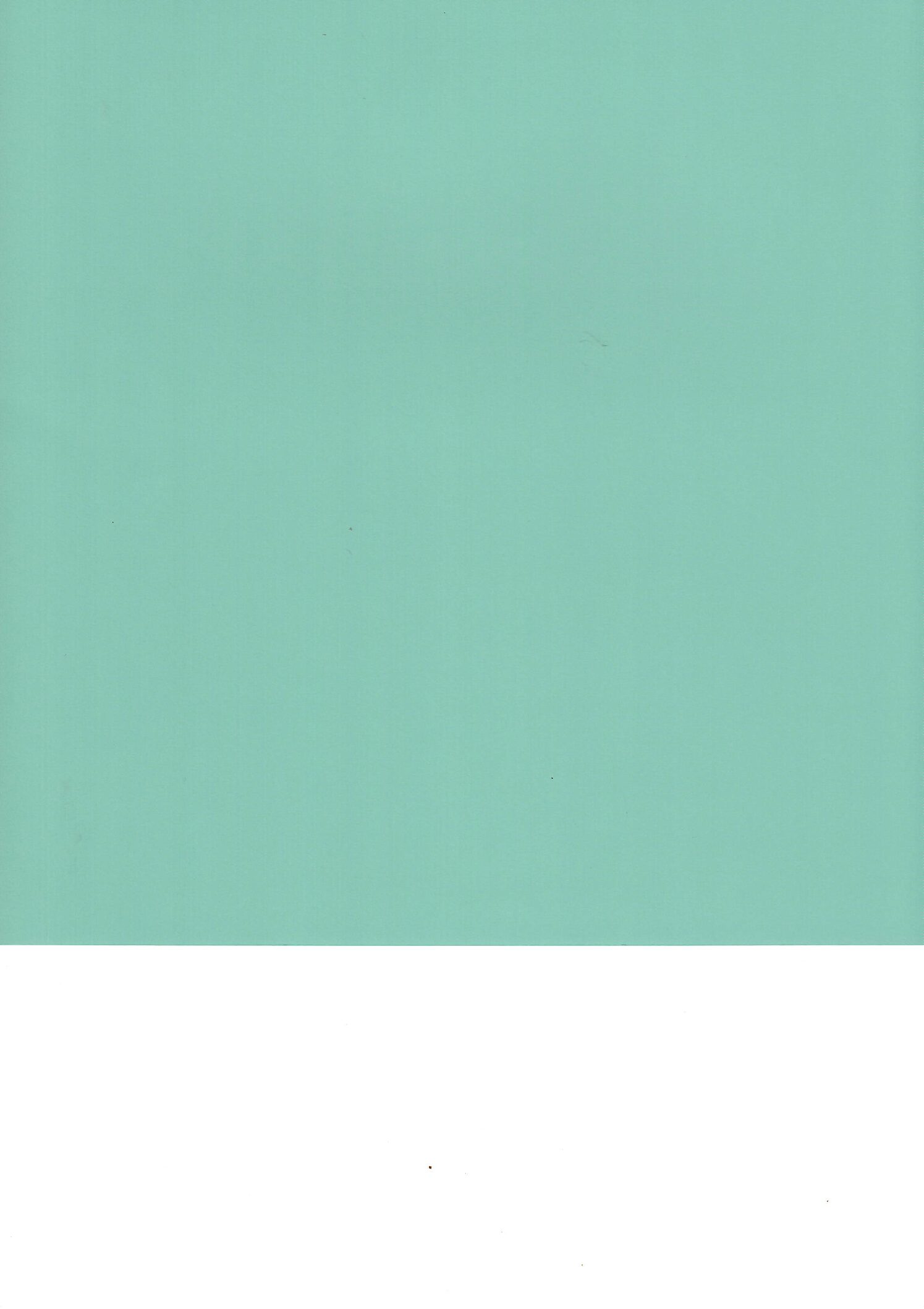 Trocraft Smooth Cardstock Julep